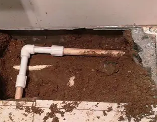 曹妃甸测漏水哪家好