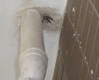 曹妃甸漏水检测哪家好